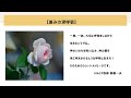 「恵みの深呼吸」2020年08月11日