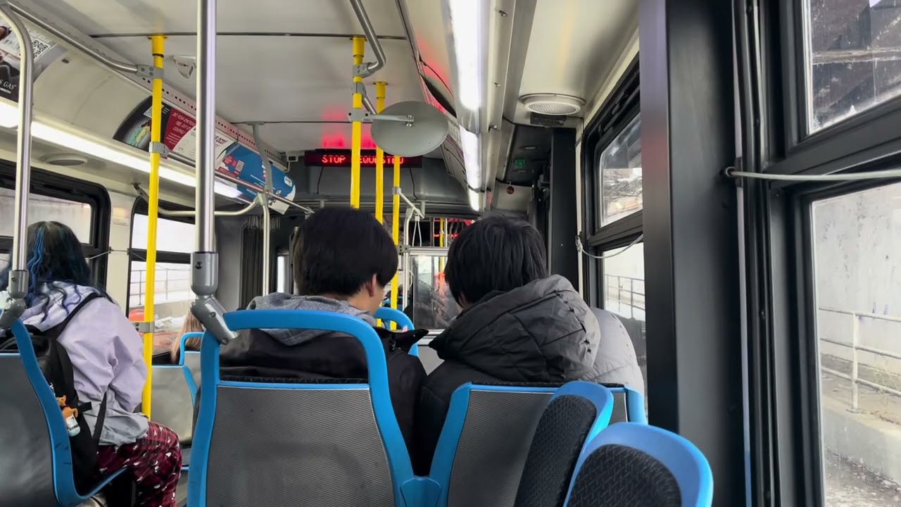 CTA Bus Ride: 2008 New Flyer DE60LF on Route 62 Archer from California to Paulina 