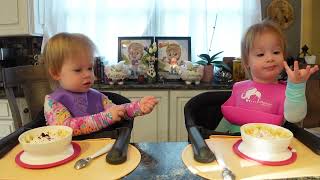 Twins try Greek yogurt by Alicia Barton 155,875 views 2 weeks ago 12 minutes, 21 seconds