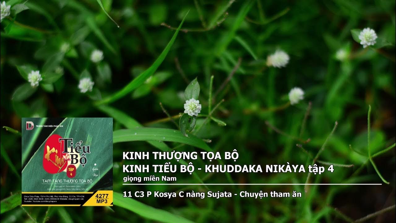 Tập 4 – 11 C3 P Kosya C nàng Sujata – Chuyện tham ăn giọng miền Nam 
