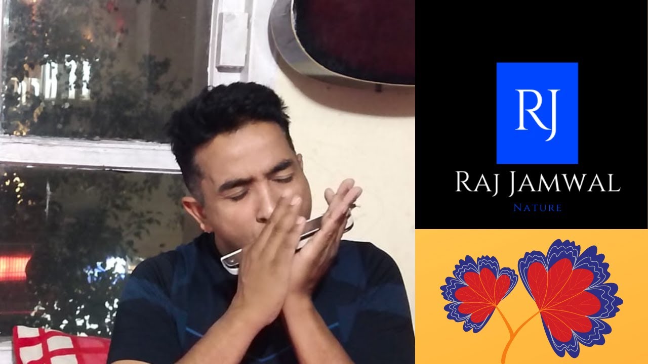 how to play a song on mouth organ how to play Hindi songs on