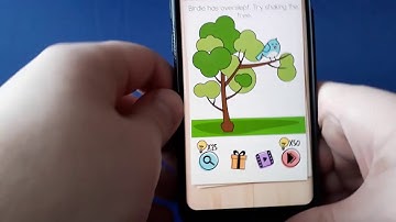 Brain test birdie has overslept. try to shaking the tree