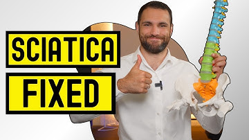 3 Best Exercises For Sciatica & Back Pain