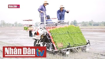 Nâng cao hiệu quả hoạt động của Hợp tác xã Nông nghiệp