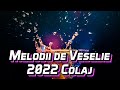 Muzica de petrecere 2022 Colaj Muzica de Petrecere 2021 Cele Mai Tari Melodii de Petrecere 2021