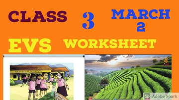 Class 3 evs Worksheet March 2