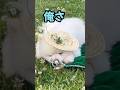 人生トントンで17才⁈