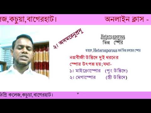 নগ্নবীজী উদ্ভিদের বৈশিষ্ট্য