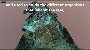 Depiction of Coral Reefs Through Advanced 3D Photogrammetry