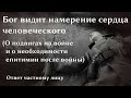 Бог видит намерение сердца человеческого (О подвигах на войне, о необходимости епитимии после войны)