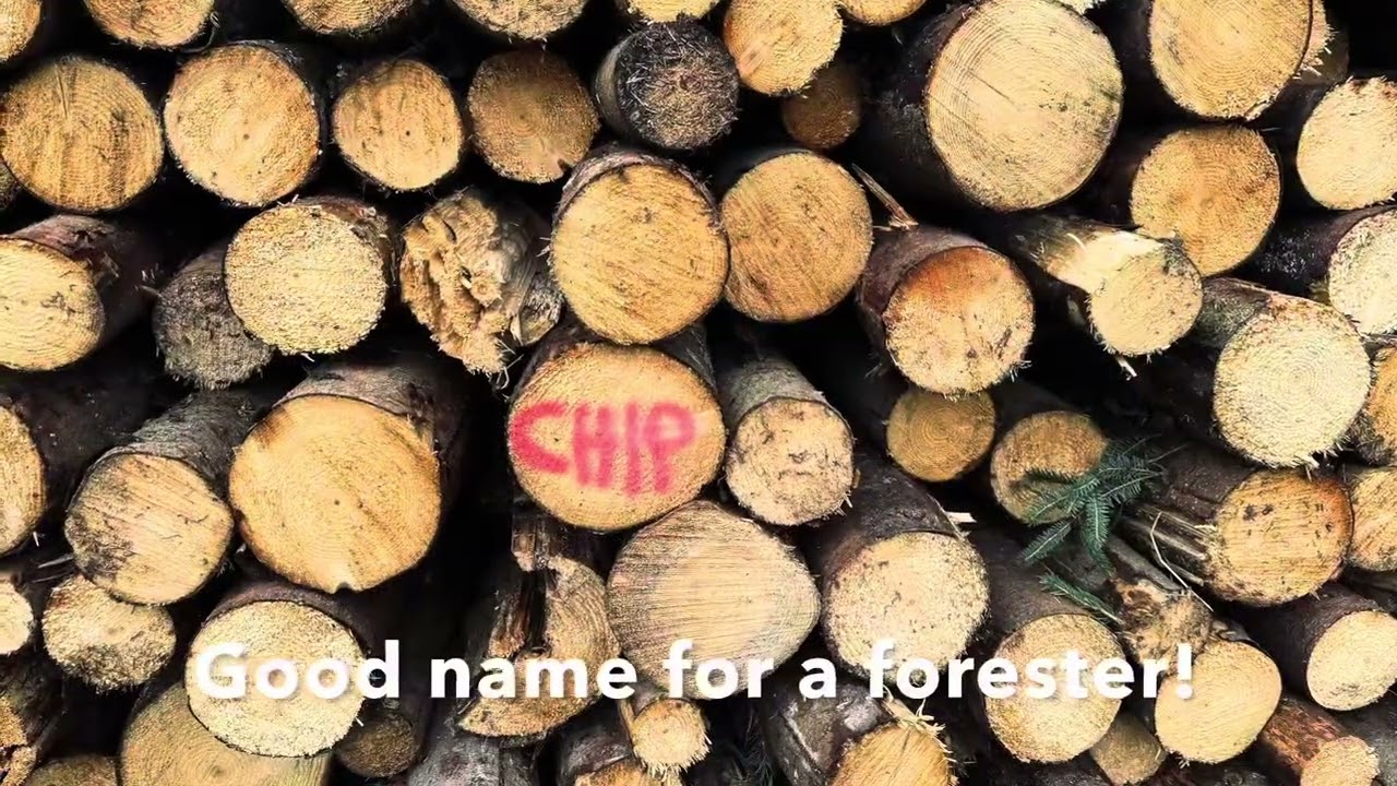 Pennine Way 24 Day 18 - Bellingham to Byrness ​⁠​⁠ 