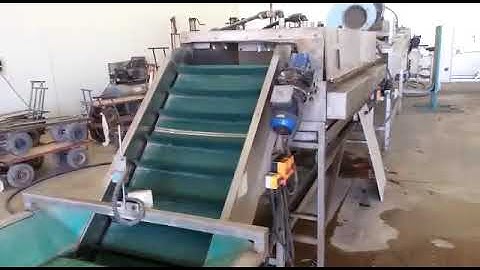 Sorting line for round fruit - Eshet Eilon