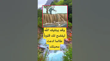 وقد يبتليك الله ليفضح لك قلوبا طالما ادعت محبتك اكسبلور الله لايك 100 ترند اقنباسات معلومات اليمن 
