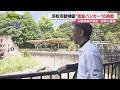 入園者数低迷の浜松市動物園・改革を任された”信金のバンカー”に密着(浜松市)