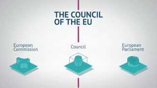 Council animation decision making (EN)