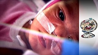 видео international surrogacy