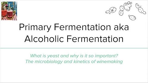 Lecture 5: Primary Fermentation