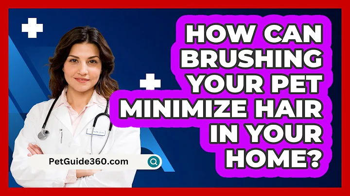 How Can Brushing Your Pet Minimize Hair In Your Home? - PetGuide360.com