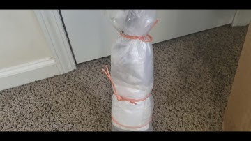 Fuyu Jiro Persimmon tree