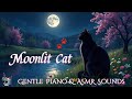 🌕 Moonlit Cat by the River 🐾 Gentle Piano &amp; ASMR Sounds 🎧
