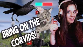 Lauren Reacts! *Bring on the Corvids!* Are Crows OP By TierZoo