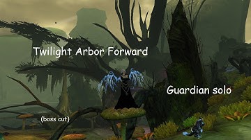 [GW2] Twilight Arbor Forward - Guardian Solo