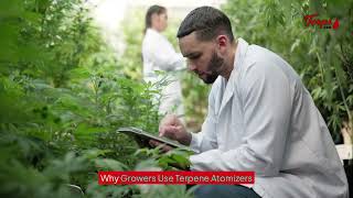 What Is a Terpene Atomizer? – Terps USA®