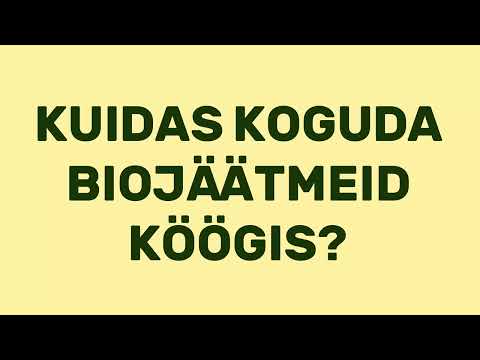 Video: Korvide kasutamine konteineritena: kuidas hoolitseda korvides olevate taimede eest