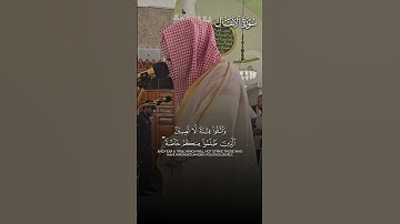 تلاوة بديعة من سورة الأنفال | تلاوة فضيلة الشيخ د.#الوليد_الشمسان