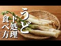 【ウド】の切り方・下処理・美味しいレシピまで!|旬を食べつくす!