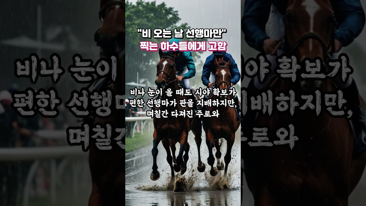 경마장에서 비 오는 날 선행마만 찍는! "하수들에게 고함!'