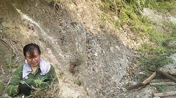 Ngày nắng đẹp trời hai thầy trò khương chờ đi rừng lấy cây thuốc cường dương cháng khí