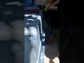 Investigan posible maltrato animal en una escuela canina en Navalcarnero, Madrid
