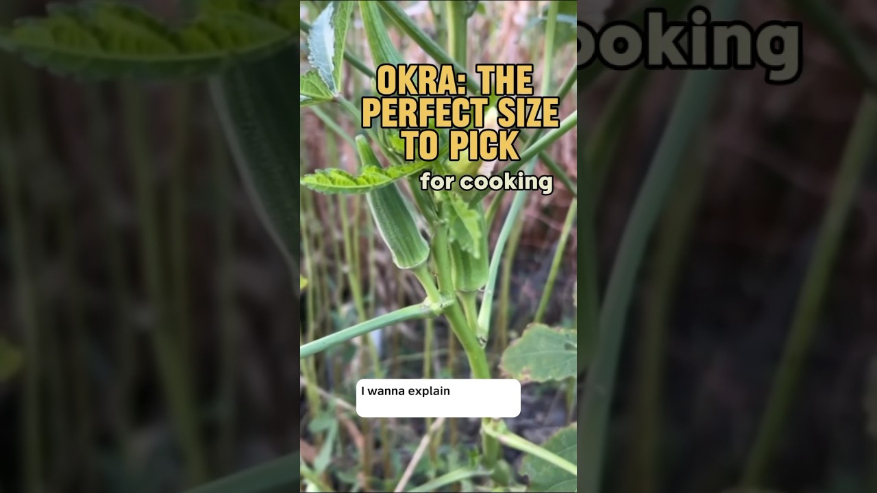 ❌ Don’t make this common garden mistake!! 