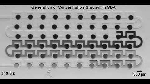 Microfluidic concentration gradient in Static Droplet Array (SDA)