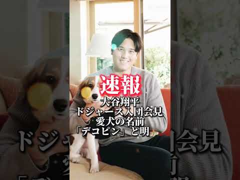 大谷翔平ドジャース入団会見 愛犬の名前「デコピン」と明かす