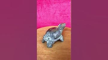 LONG QUY| RÙA ĐẦU RỒNG| zalo 0868113168