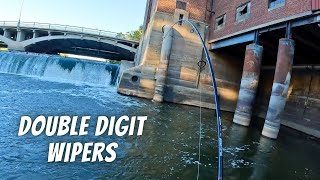 Giant Fish Invaded the Spillway | (The Quest for a PB Wiper/Hybrid Ep. 1)