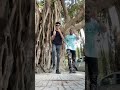 ابعد يا هلس حد عارف مكان ده