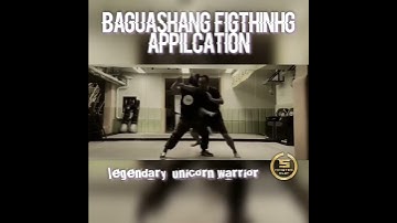BAGUASHANG FIGHTING APPLICATION #baguazhang  #wingchunkungfu #martialsarts #selfdefence #wayoflife