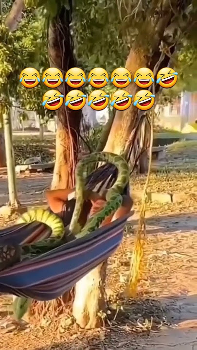 Ngakak Tapi Kasian - Prank Ular orang tidur mimpinya jadi nyata