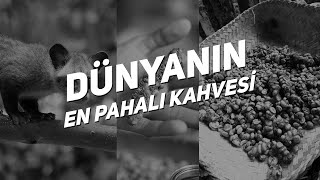 Kopi Luwak Kahvesi | Tartışmalı Yöntem! | Varona Kahve | Engin Varol