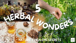 5 Herbal Wonders: Nature's Healing Secrets Unveiled