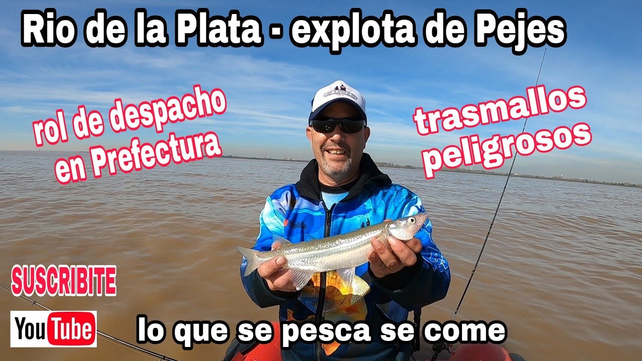 Trasmallos De Pesca  MercadoLibre.com.ec