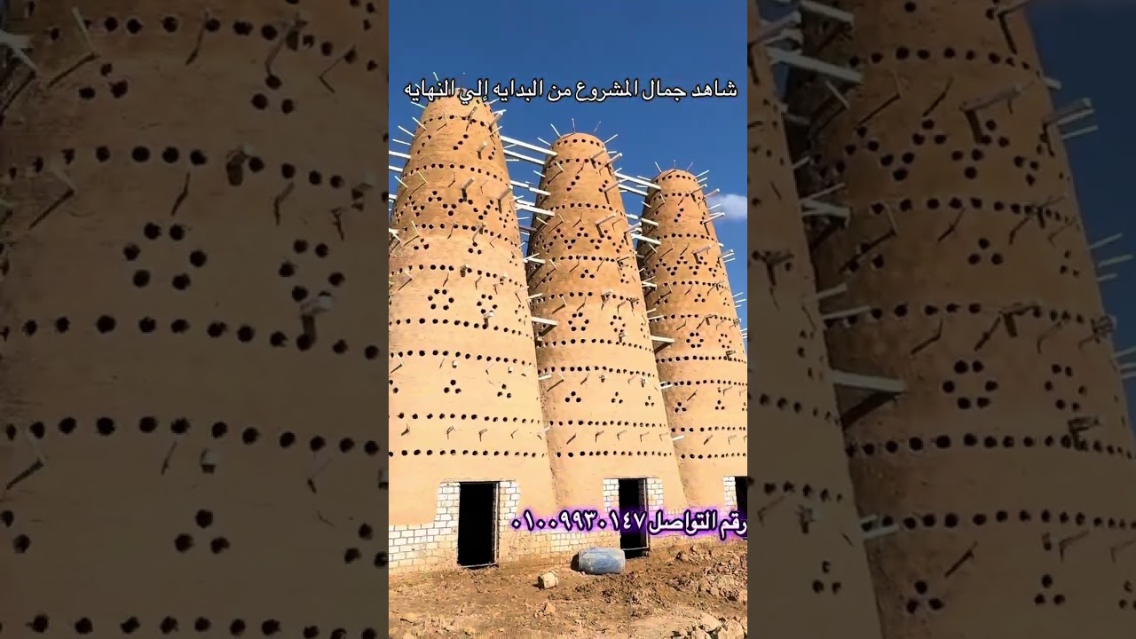 ٢٤ أكتوبر، ٢٠٢٥