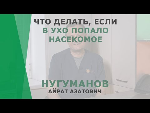 Если комар залетел в ухо что делать в домашних условиях