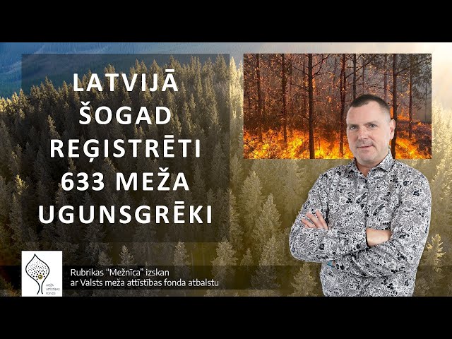 Latvijā šogad reģistrēti 633 meža ugunsgrēki (11.09.2023.) // MEŽNĪCA