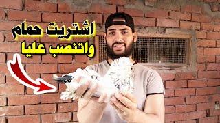 اشتريت حمام واتنصب عليا | اسمع واتعلم من ابو مريم التونسي