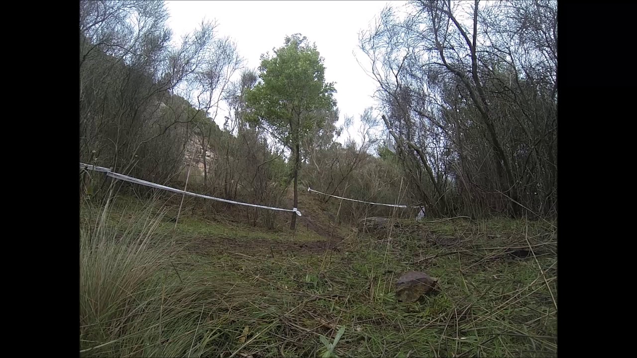 bibbo 2 - YouTube