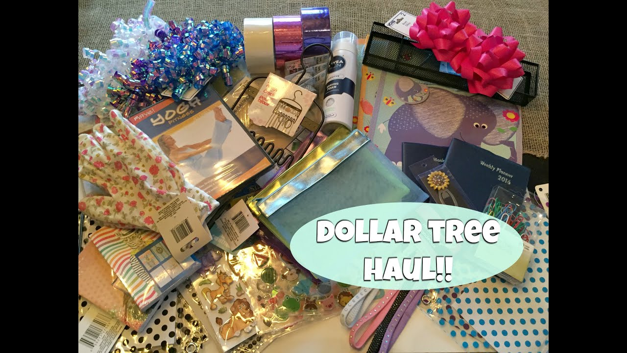 Huge DOLLAR TREE HAUL!! February 2016 | New Finds